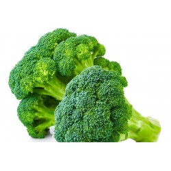 Chou brocoli bio