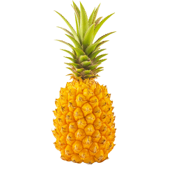 Ananas Victoria BIO Réunion